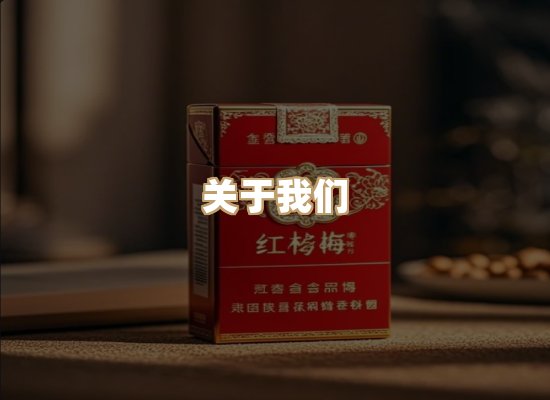 关于盛岚品烟草网